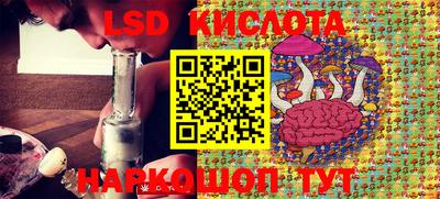 стафф Донской
