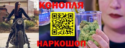 стафф Донской