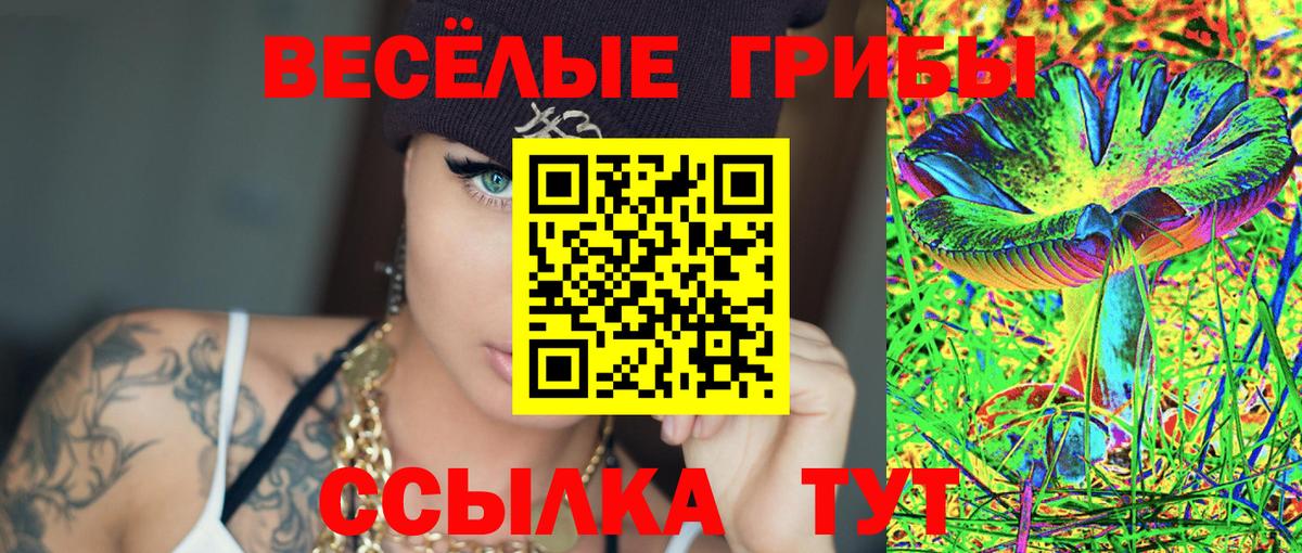 Псилоцибиновые грибы MAGIC MUSHROOMS  Галлюциногенные грибы MAGIC MUSHROOMS  даркнет сайт  Малоярославец  Вход с VPN 